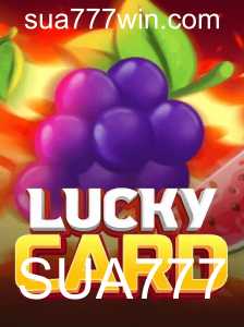 Jogo de cartas revolucionário LuckyCard: Conheça as regras e descubra o segredo de SUA777