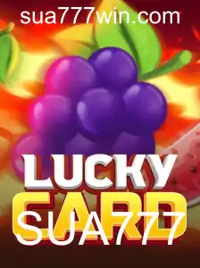 Jogo de cartas revolucionário LuckyCard: Conheça as regras e descubra o segredo de SUA777